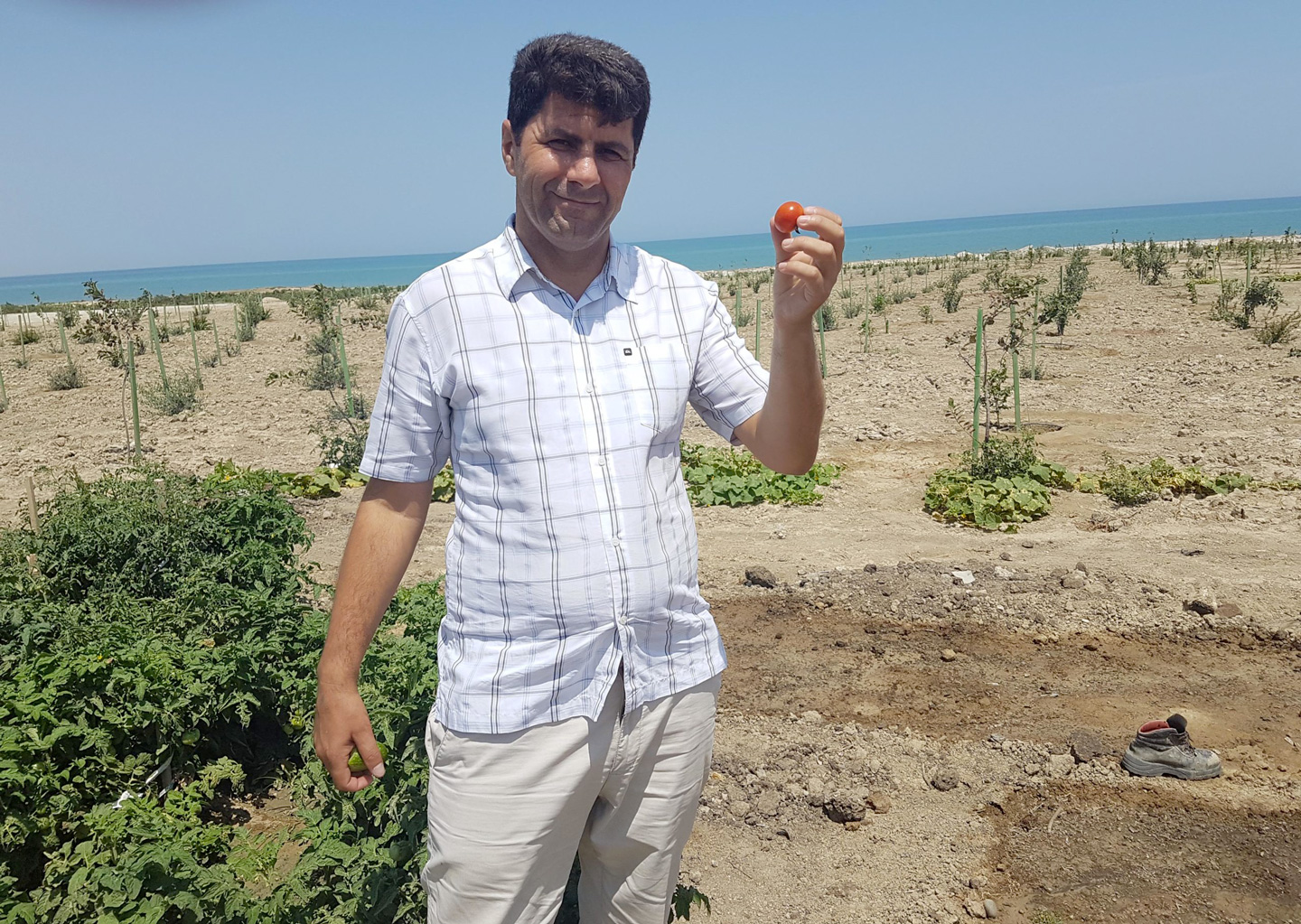 Dr. Rovshan Abbasov Pure Earth Coordinator holding a tomato